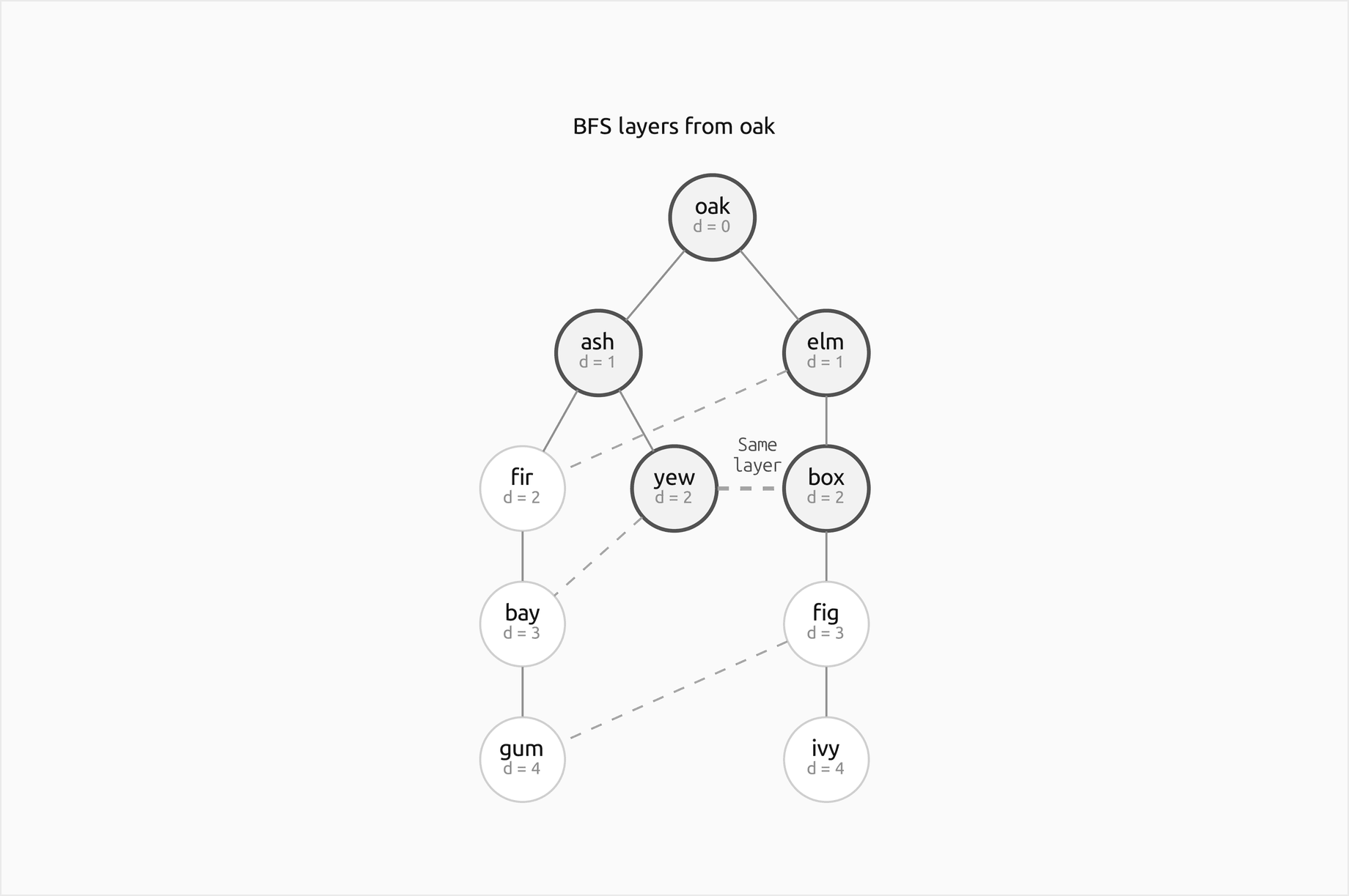 The BFS tree of the worked graph drawn layer by layer with the distance under each vertex: oak at distance 0; ash and elm at 1; fir, yew and box at 2; bay and fig at 3; gum and ivy at 4. Tree edges are solid, the non-tree edges elm fir, yew bay and fig gum are dashed, and the edge yew box inside layer 2 is a heavier dashed line labelled same layer; the vertices oak, ash, yew, box and elm of the odd cycle it closes are outlined