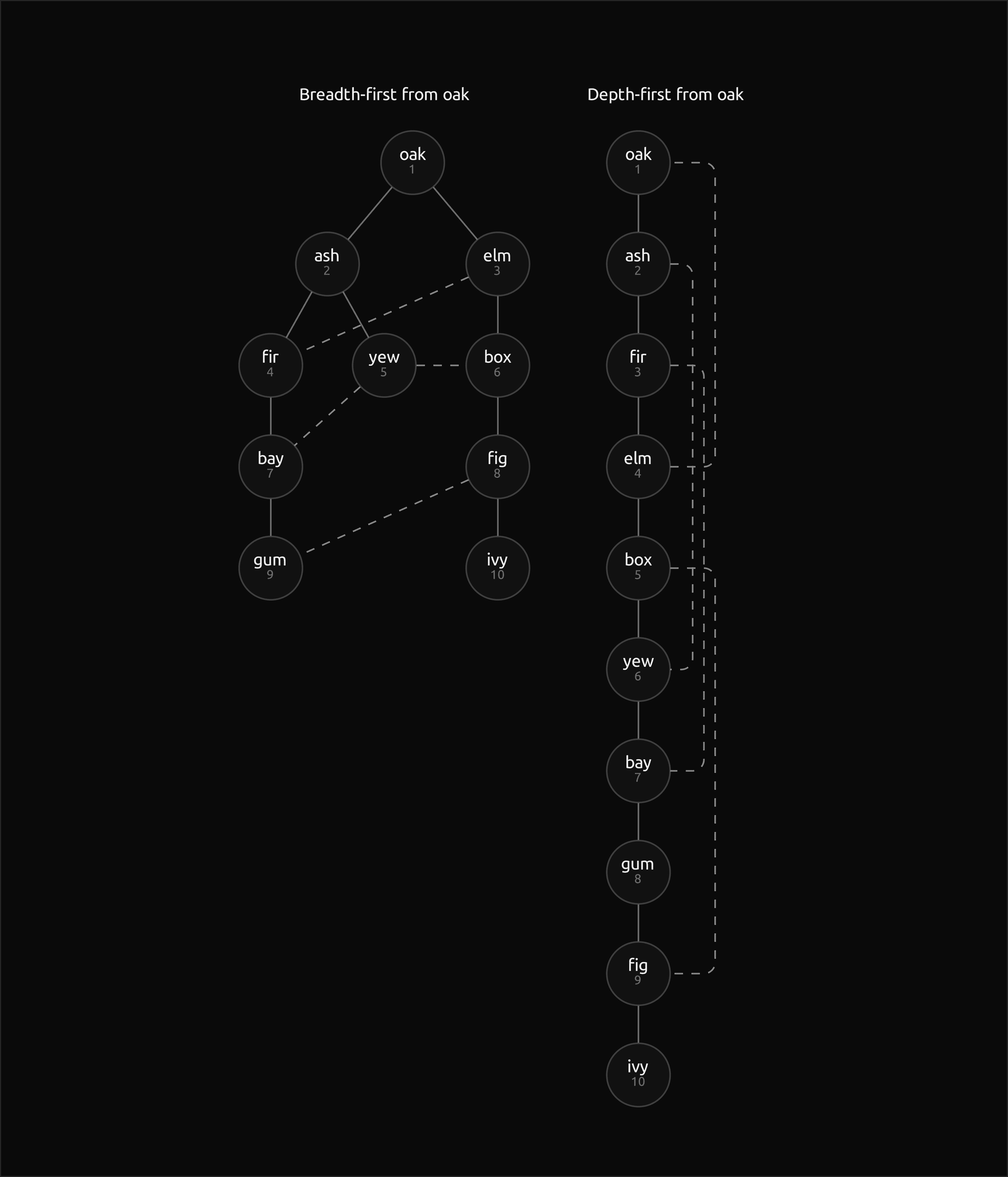 Two trees of the worked graph side by side with the visit position under each vertex. Left, breadth-first from oak: four levels below oak, with the order oak, ash, elm, fir, yew, box, bay, fig, gum, ivy read row by row. Right, depth-first from oak: one long path oak, ash, fir, elm, box, yew, bay, gum, fig, ivy, with dashed non-tree edges from elm to oak, yew to ash, bay to fir and fig to box looping back up the right of the path