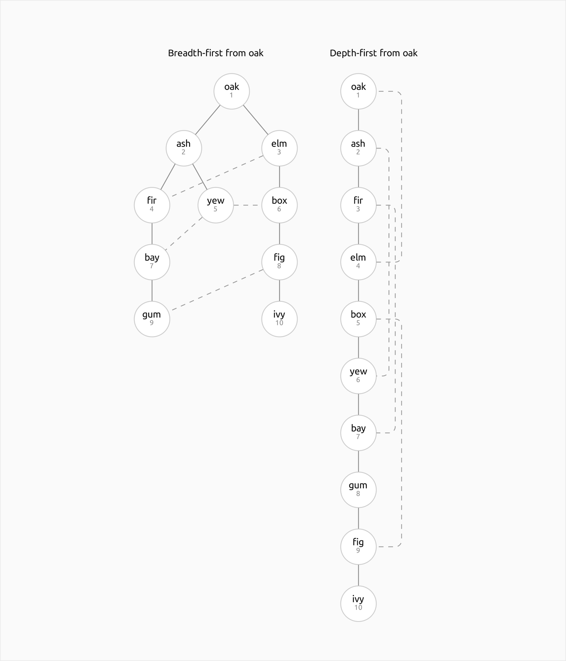Two trees of the worked graph side by side with the visit position under each vertex. Left, breadth-first from oak: four levels below oak, with the order oak, ash, elm, fir, yew, box, bay, fig, gum, ivy read row by row. Right, depth-first from oak: one long path oak, ash, fir, elm, box, yew, bay, gum, fig, ivy, with dashed non-tree edges from elm to oak, yew to ash, bay to fir and fig to box looping back up the right of the path