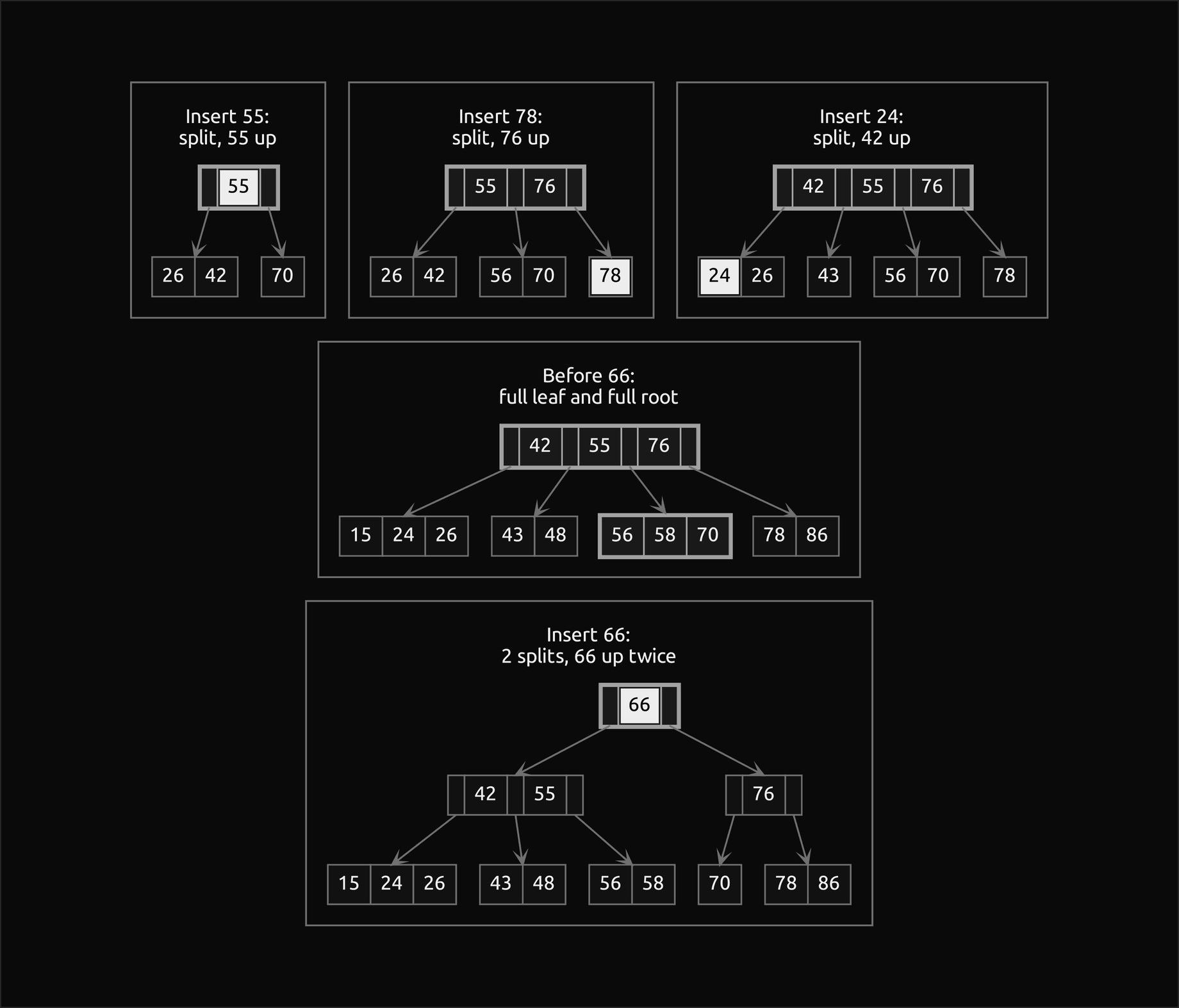 Five frames of bottom-up insertion into a B-tree of order 4: after inserting 55 the root splits and 55 moves up; after 78 the leaf [56, 70, 76, 78] splits and 76 moves up; after 24 the leaf [24, 26, 42, 43] splits and 42 moves up; before 66 the leaf [56, 58, 70] and the root [42, 55, 76] are both full; inserting 66 splits the leaf and then the root, and 66 moves up twice into a new root