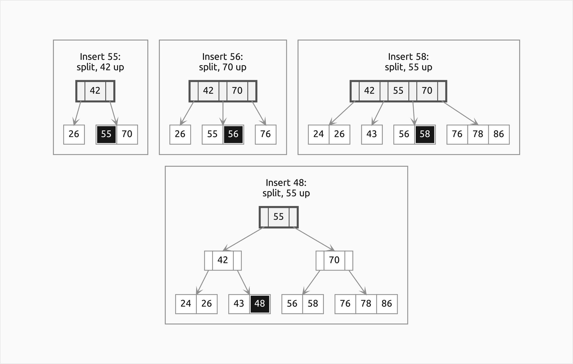 Four frames of top-down insertion into a B-tree of minimum degree 2: inserting 55 splits the full root [26, 42, 70] first, and 42 moves up; inserting 56 splits the full leaf [55, 70, 76] on the way down, 70 up; inserting 58 splits [43, 55, 56], 55 up; inserting 48 splits the full root [42, 55, 70] before descending, 55 up into a new root